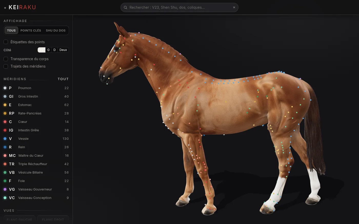 L'application Keiraku : un cheval en trois dimensions couvert de points colorés, un par point d'acupuncture.