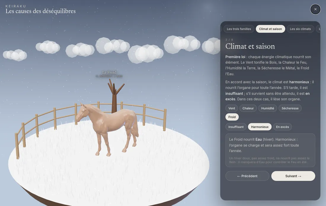 Le paddock en hiver : la météo agit sur le cheval.
