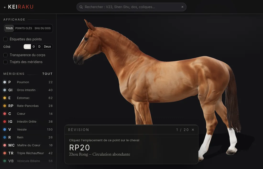 Mode révision : le code d'un point est donné, et il faut le placer sur le cheval.
